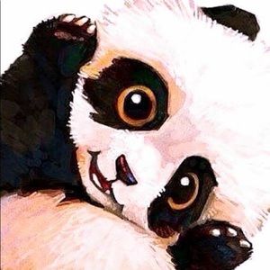 Meet your Posher, Roy